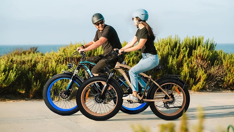 electric mountain bike